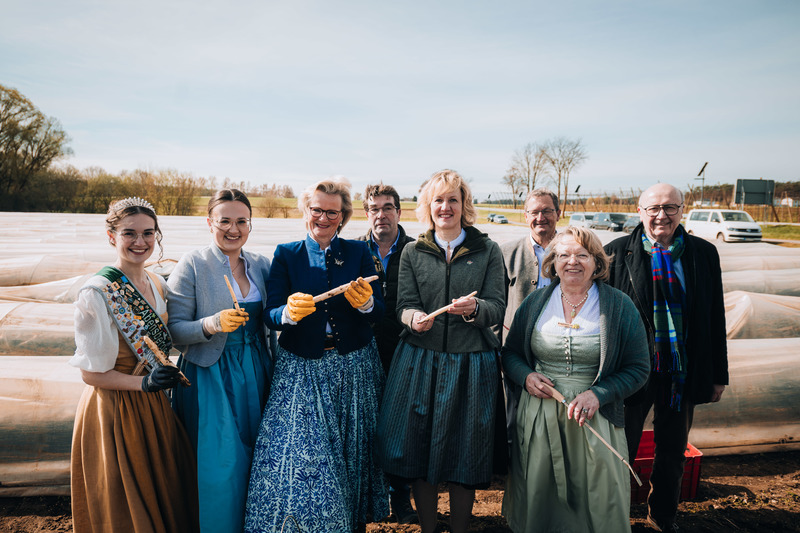 Unter großem Interesse aus Landwirtschaft, Gastronomie und Politik ist am Samstag, den 11. April 2026, die diesjährige Spargelsaison in Abensberg offiziell eröffnet worden. Den symbolischen ersten Spargelstich vollzog die Präsidentin des DEHOGA Bayern, Angela Inselkammer, die dabei die hohe Qualität und den großen handwerklichen Aufwand beim Anbau des regionalen Edelgemüses würdigte.